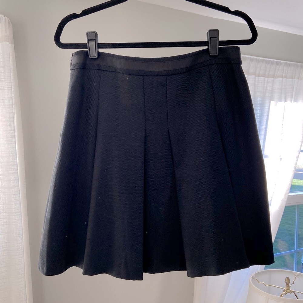 The Limited Pleated Skirt
